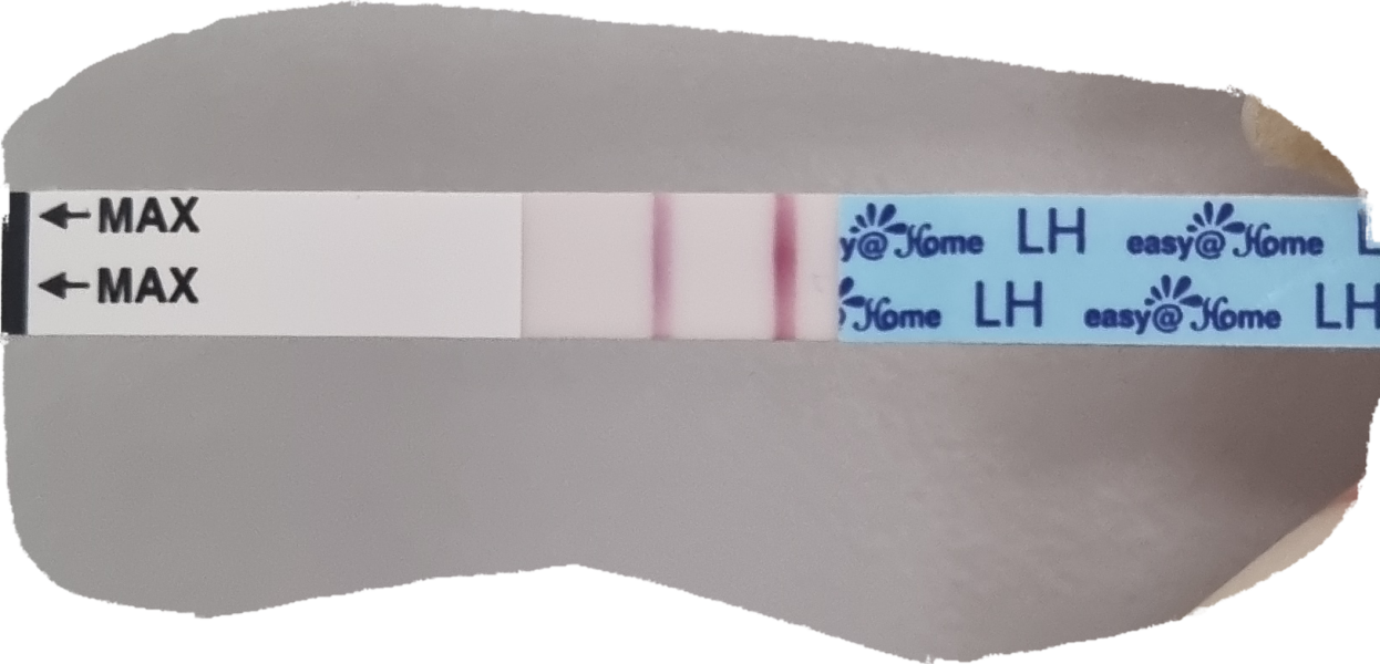 Hoping for a BFP in July/august