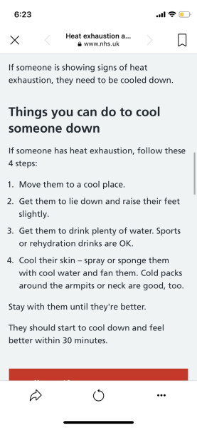 Heat exhaustion or bug?