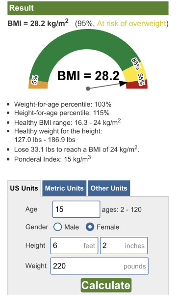AIBU to think my dd is overweight