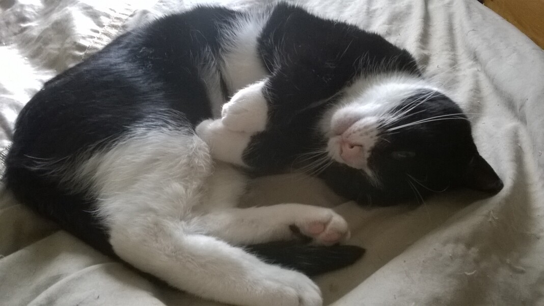 To a life well spent – RIP Cap'n V