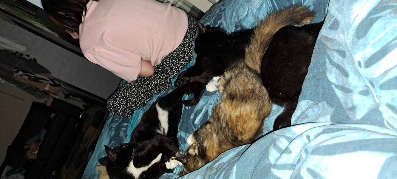 My cat likes to sleep...