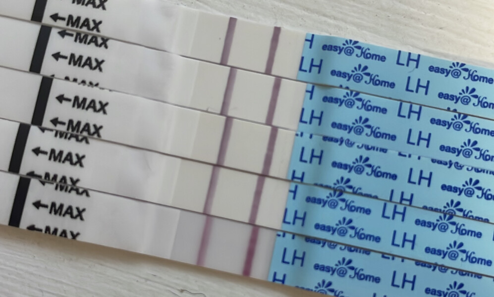 Ovulation tests - confused!