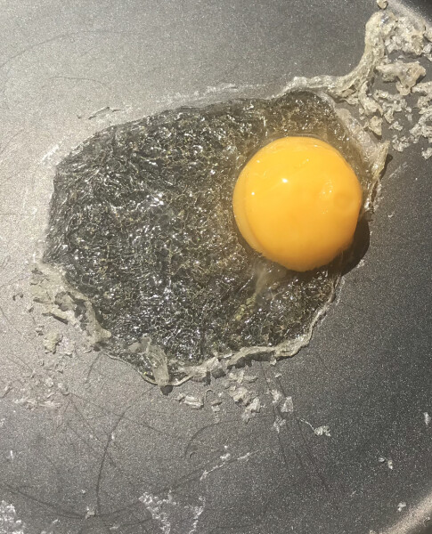 The great Eggsperiment taking place on 19th July/ Aka EGG WARS 