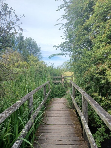 Come chat hiking with me!