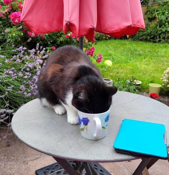 War and Peace readalong thread 2022 - thread 3