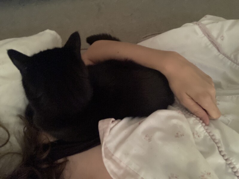 To think the comfort you get from a dog is like no other (photo)