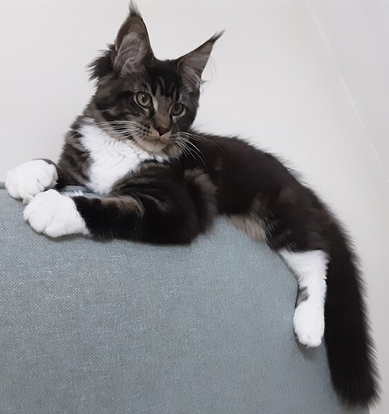 Come and tell me your dull and unexciting news 23: Calmly through the day 