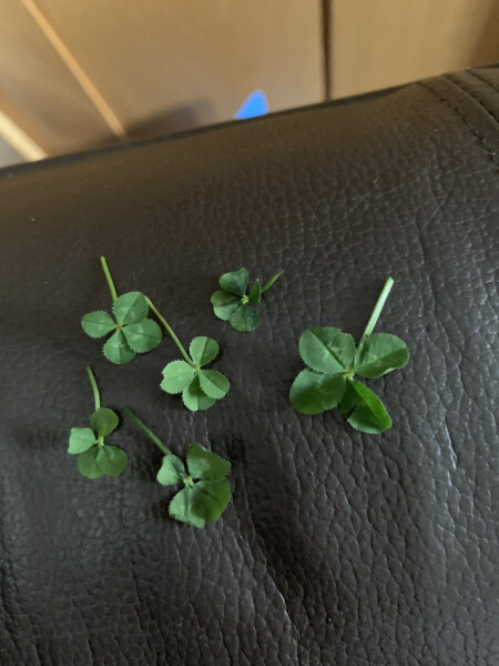 Any Witches Here? Part 16