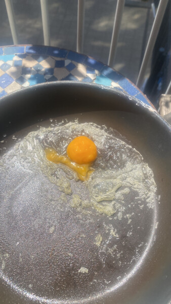 The great Eggsperiment taking place on 19th July/ Aka EGG WARS 