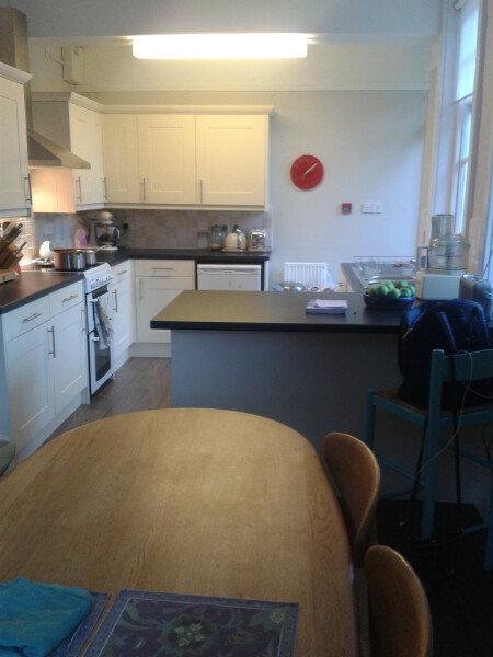 What would you do with my new kitchen - with plan!