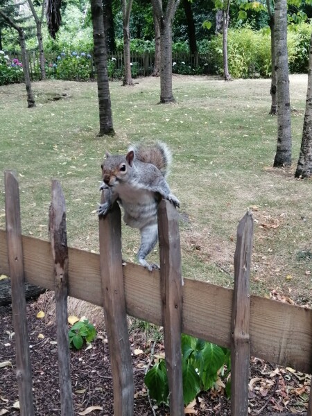 Come and tell me your dull and unexciting news 23: Calmly through the day 