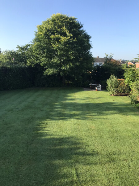 Is it ok to cut the grass now? 27 degrees