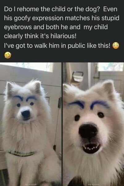 How to get red stain out of white dogs fur