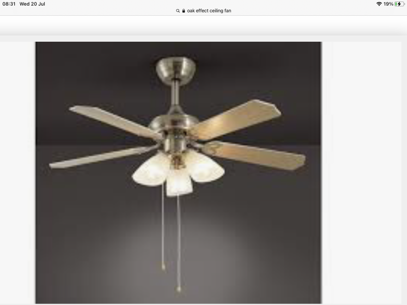 AIBU to buy a ceiling fan with light instead of a normal light fitting?