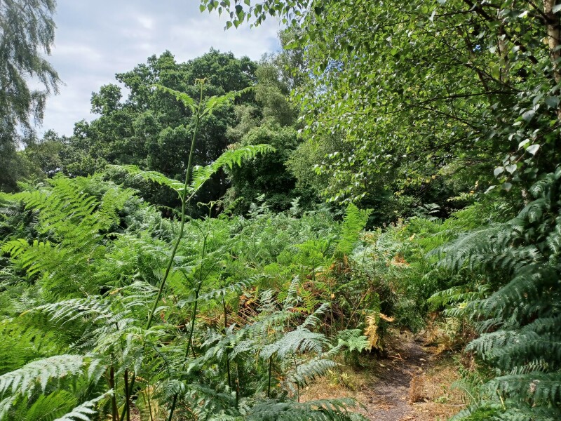 Come chat hiking with me!