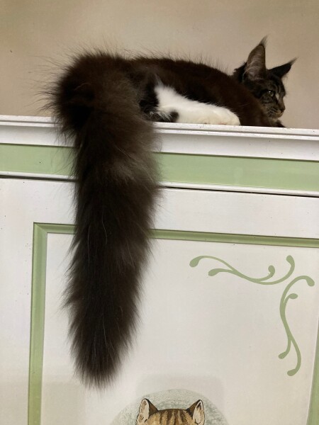 Come and tell me your dull and unexciting news 23: Calmly through the day 