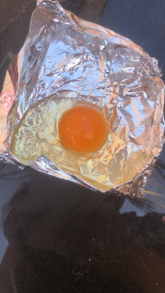 The great Eggsperiment taking place on 19th July/ Aka EGG WARS 