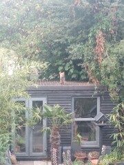 New neighbours. Messy, Noisy and PDA. 