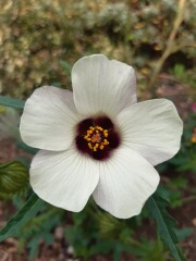 Show Us Your Pictures 6