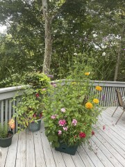 Come and tell me your dull and unexciting news 23: Calmly through the day 