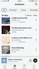 Audible - what are you listening to this summer?