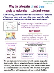 Daughter claiming she’s trans