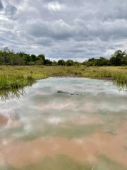 Come chat hiking with me!