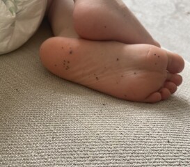 Help! Landlords cheap paint is rubbing on to family 