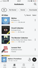 Audible - what are you listening to this summer?