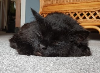 To a life well spent – RIP Cap'n V