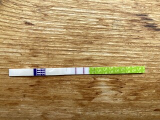 Hoping for a BFP in July/august