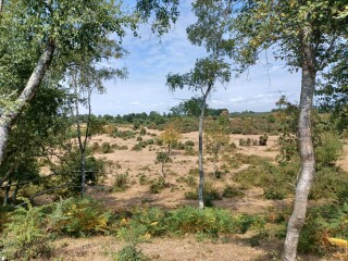 Come chat hiking with me!