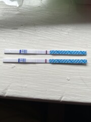 Medicated FET what day was your transfer?