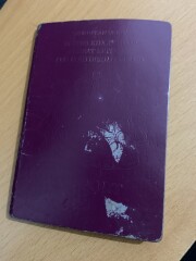 AIBU to use the fast track passport service?