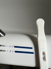 OVULATION TESTING HELP