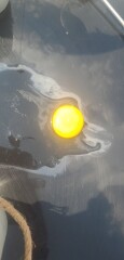 To see if I can cook an egg on my patio in this heat.