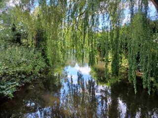 Come chat hiking with me!