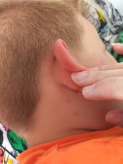 What does this look like?