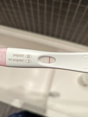 Bfp?