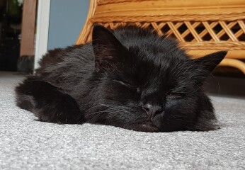 To a life well spent – RIP Cap'n V