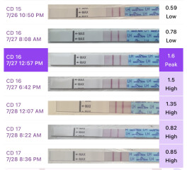 Premom ovulation strips