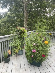 Come and tell me your dull and unexciting news 23: Calmly through the day 