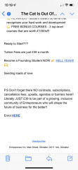 MLM Bot Watch 71
