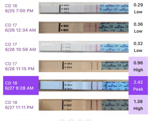 Premom ovulation strips