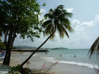 Which Caribbean island?