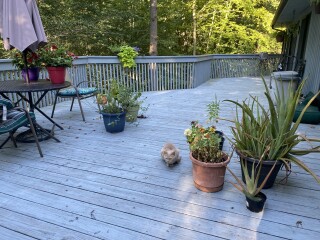 Come and tell me your dull and unexciting news 23: Calmly through the day 