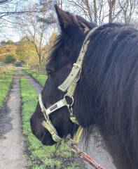 Adult new or returning riders up for a chat?