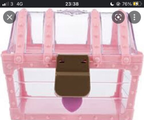 Please can anyone help me find a vintage toy?
