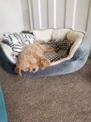 Day 1 - Maggie is here