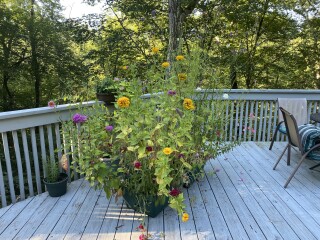 Come and tell me your dull and unexciting news 23: Calmly through the day 